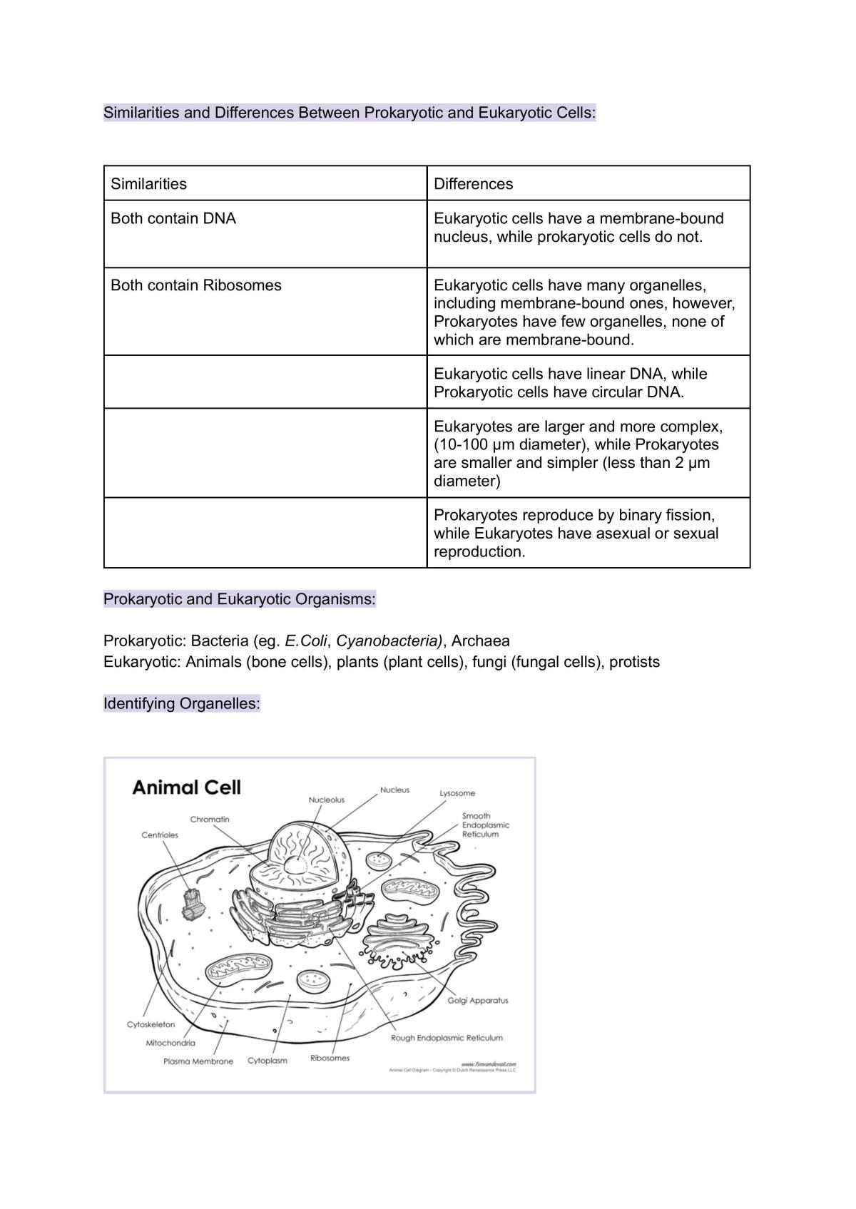 Biology U1AOS1 Notes - Page 1
