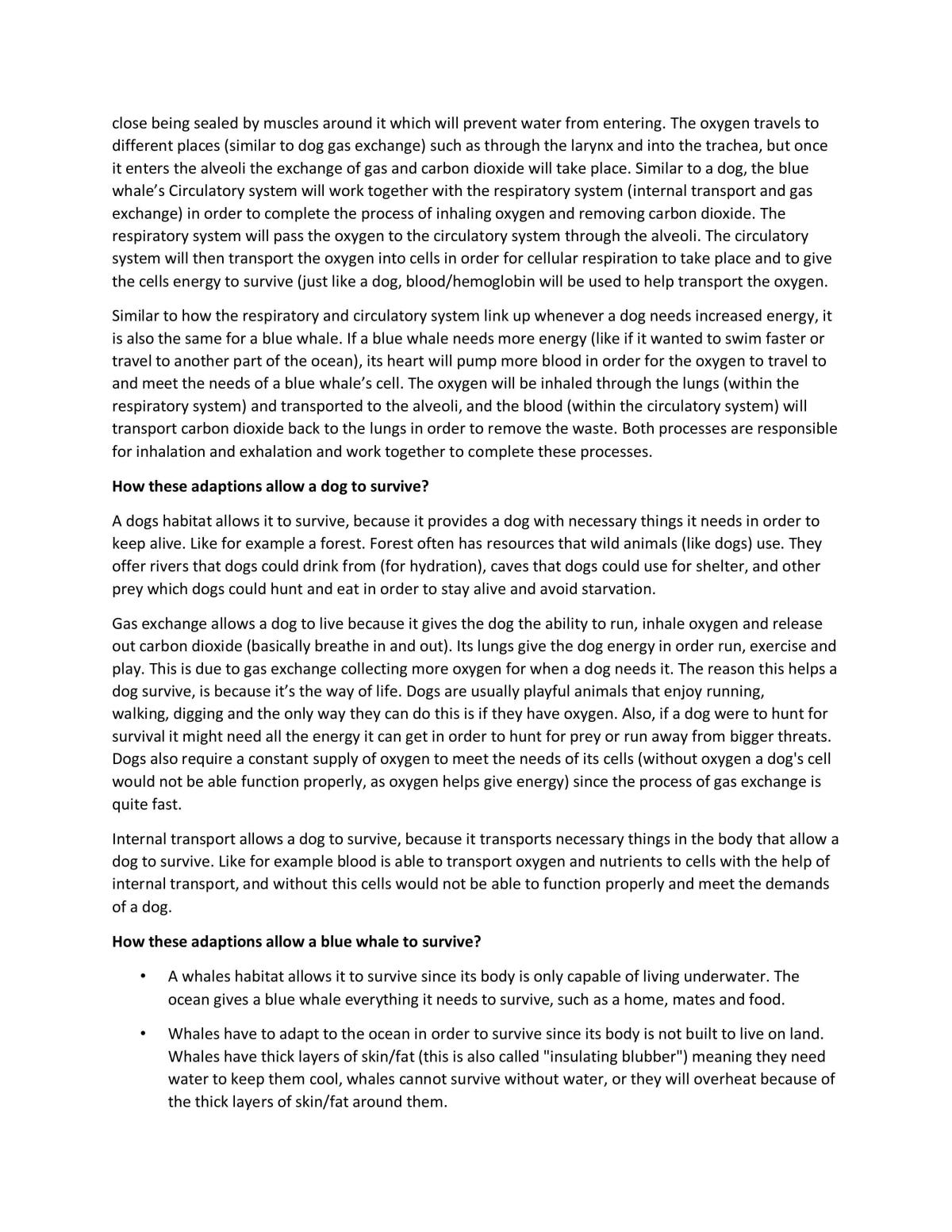 L2 - Biology 91155 - Page 3