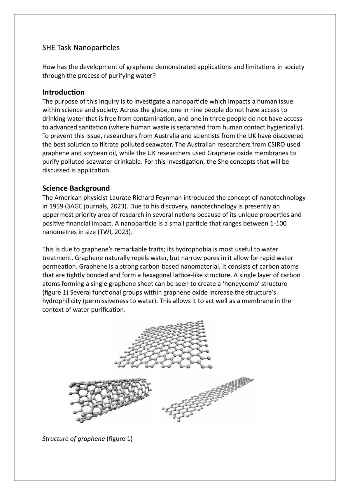 Chemistry nanoparticles SHE task  - Page 1