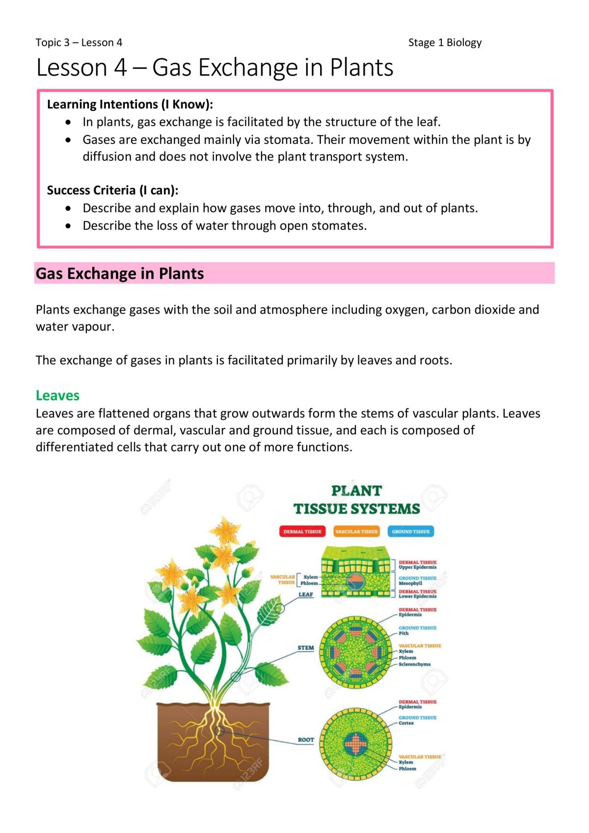 Multicellular Organisms Notes - Page 1