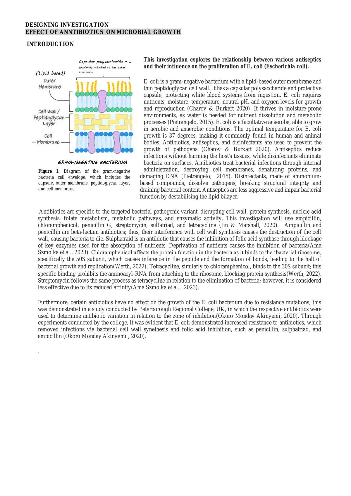 Effect of antibiotics on microbial growth - Page 1