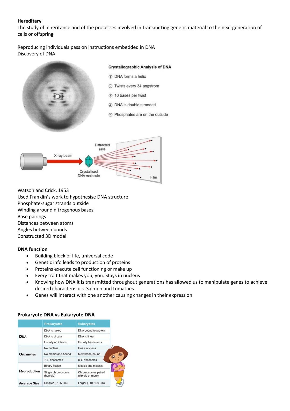 Unit 3 and 4 Biology - Page 1