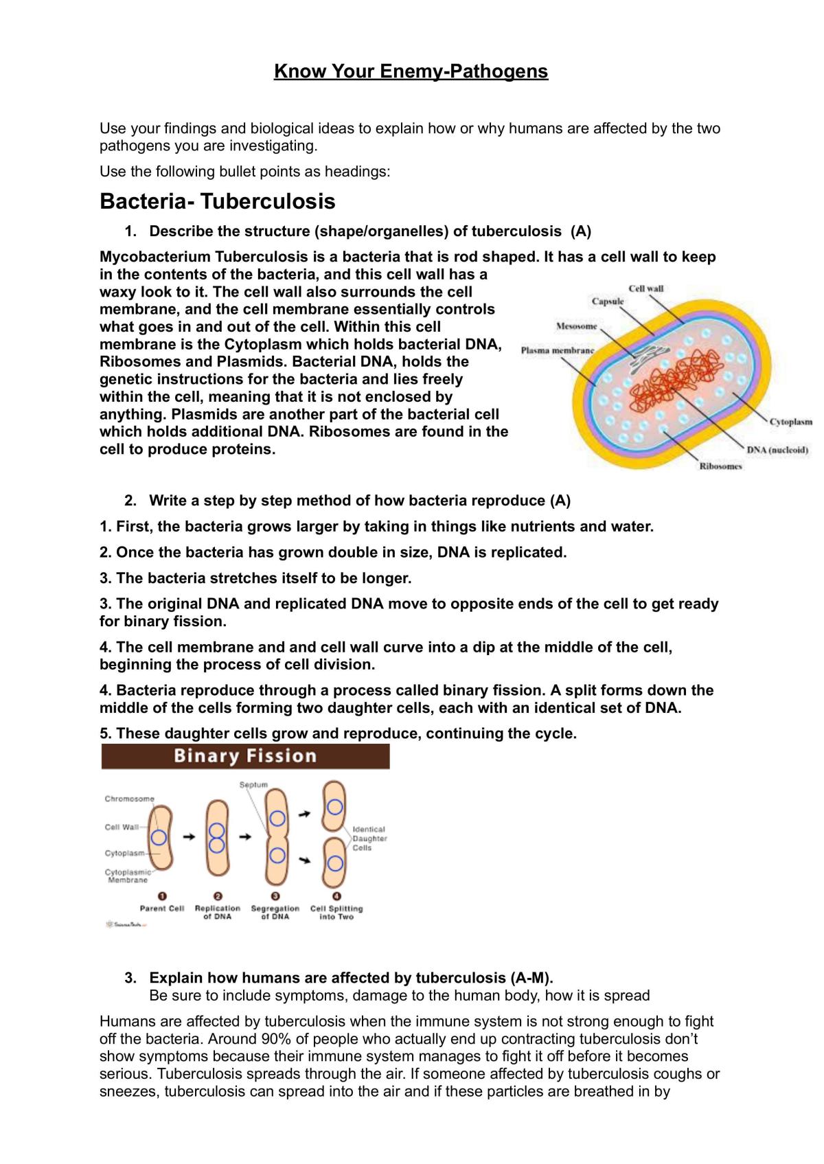 1.1 Microbes - Page 1