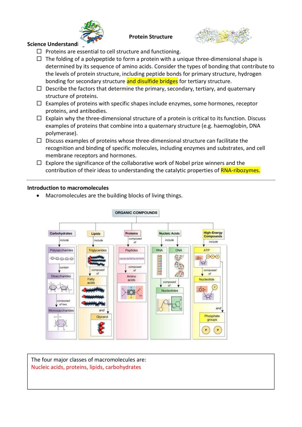 Protein - Page 1