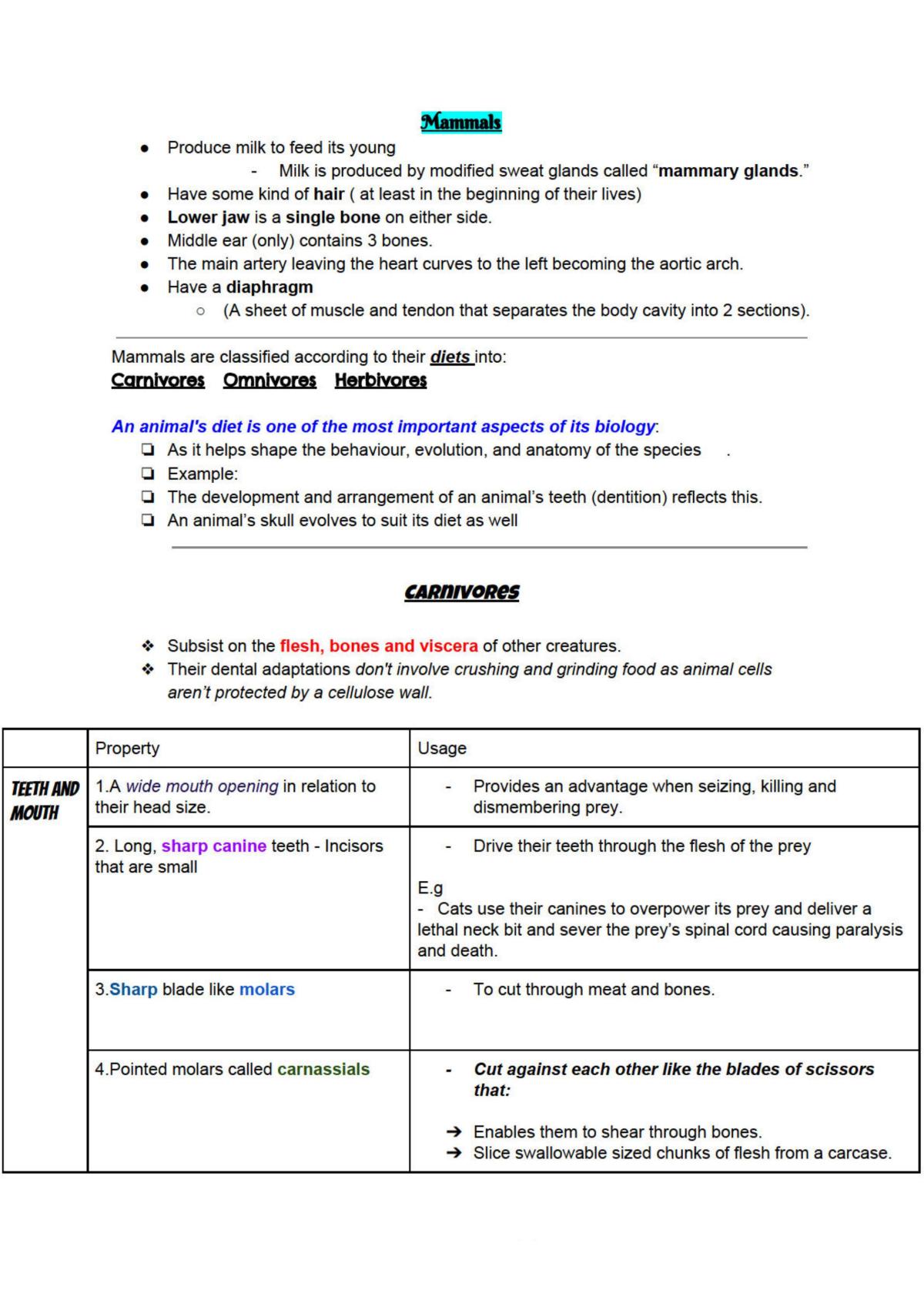 Biology Notes - Page 1