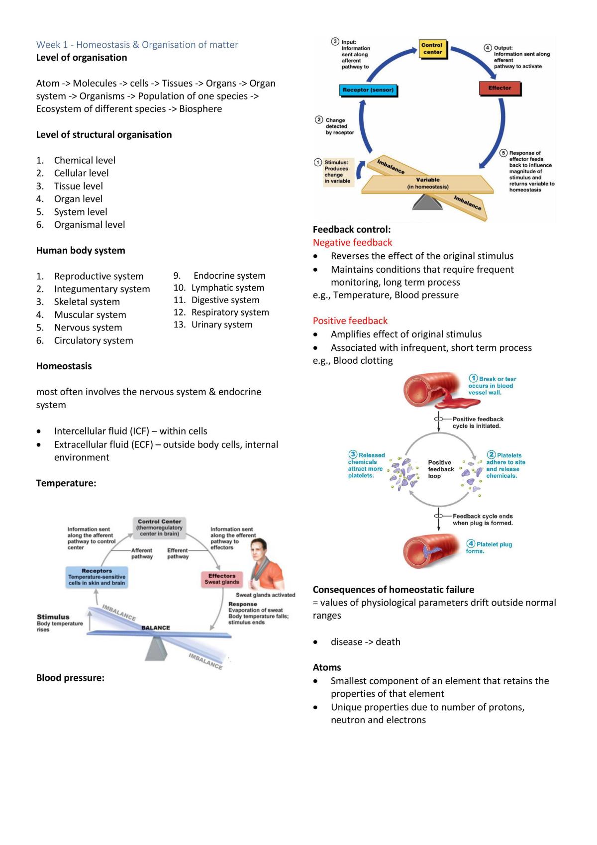 Mid term study notes - Page 1
