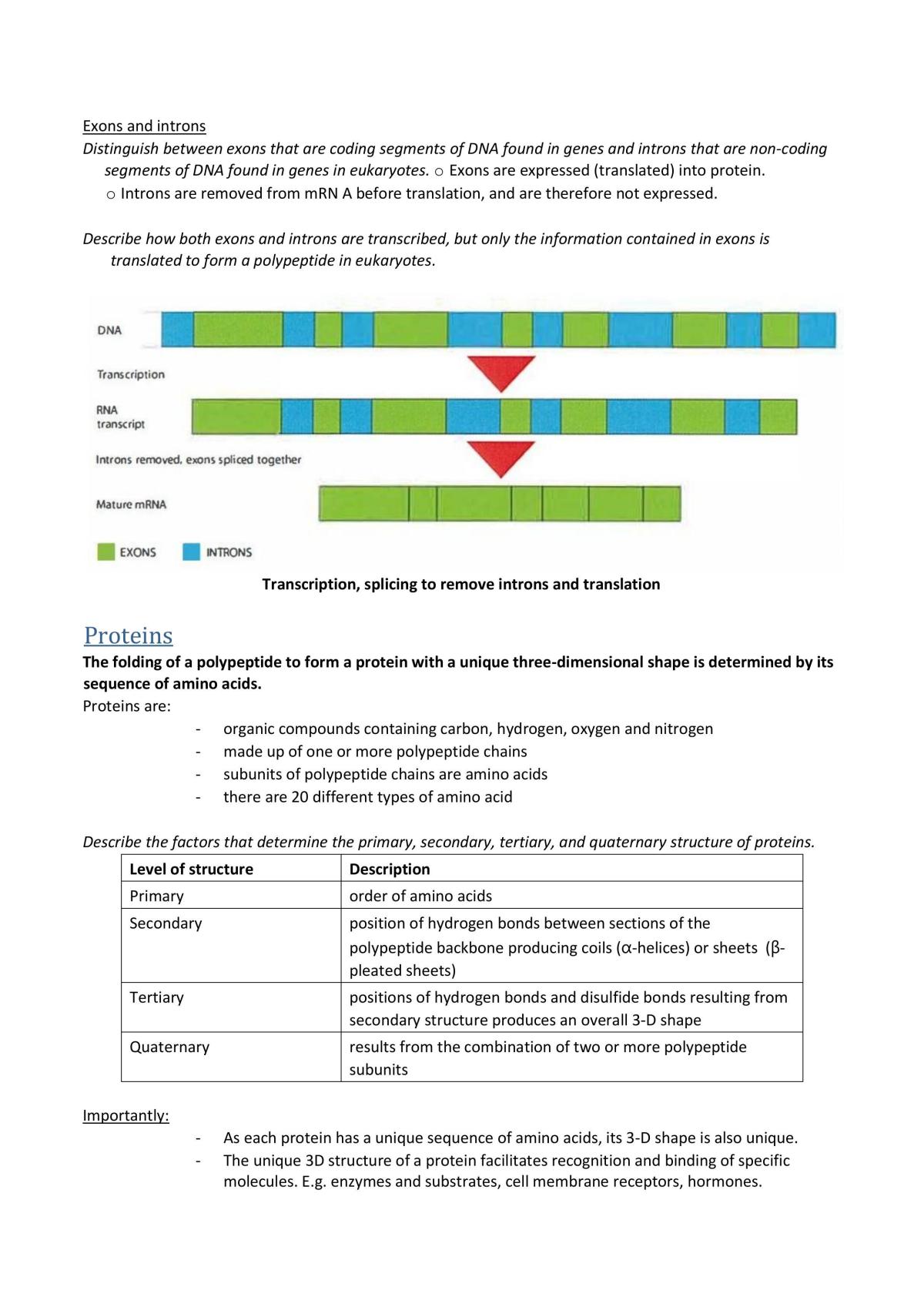DNA and Proteins Complete Study Notes - Page 5