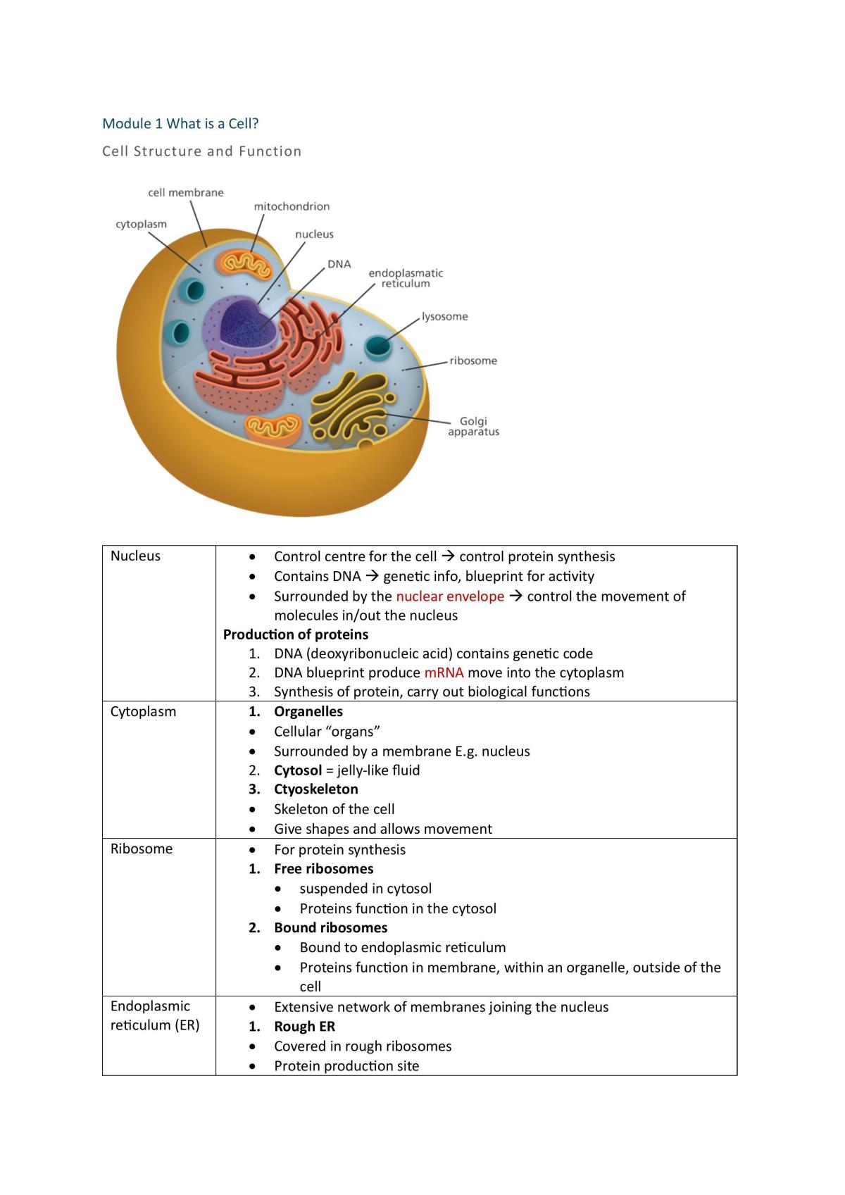Module 1 & 2- Cell structure and cell communication - Page 1