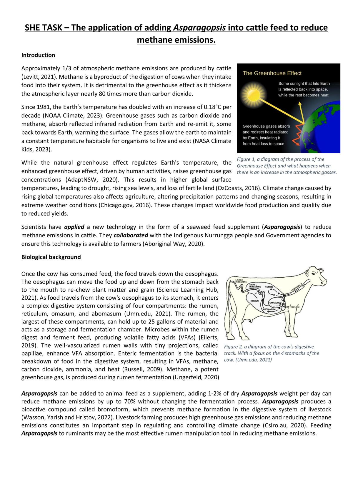 SHE Task - application of adding Asparagopsis into cattle feed to reduce methane emissions  - Page 1