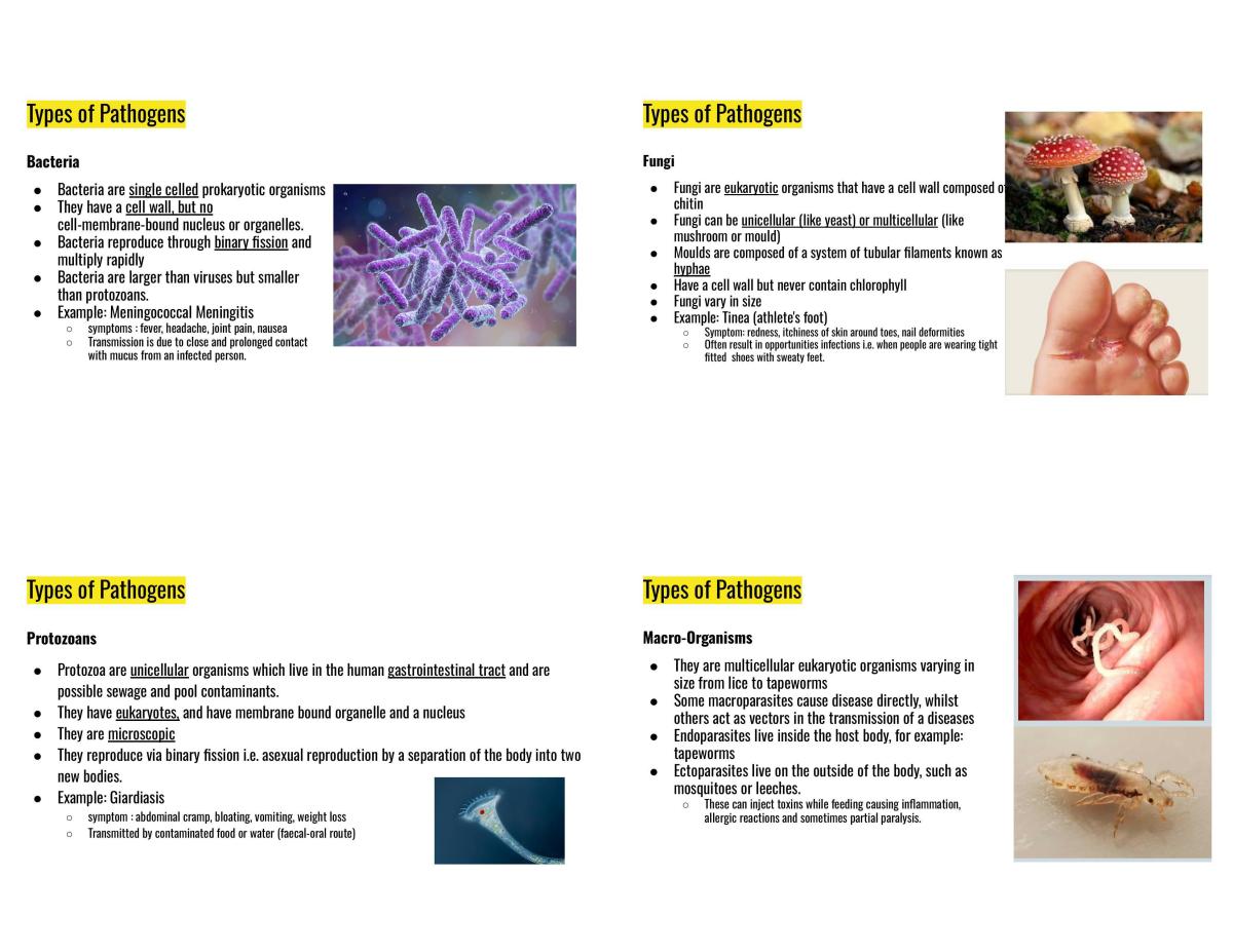 Immunity  - Page 1