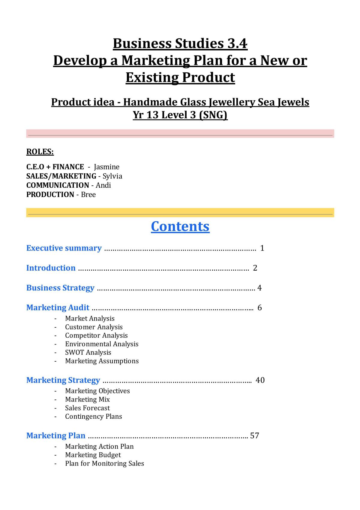 3.4 Marketing Plan - Page 1