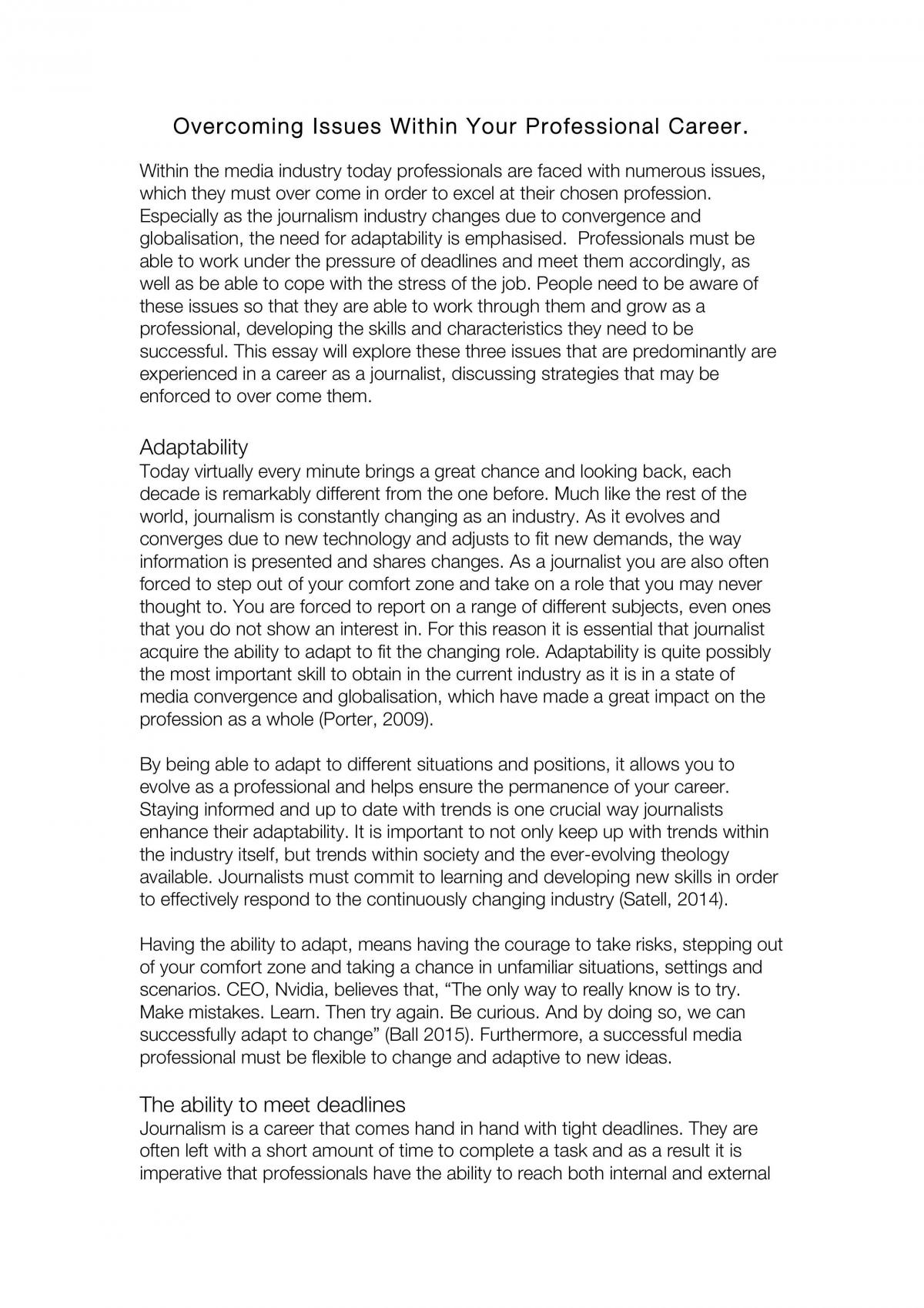 Overcoming Issues Within Your Professional Career - Page 1