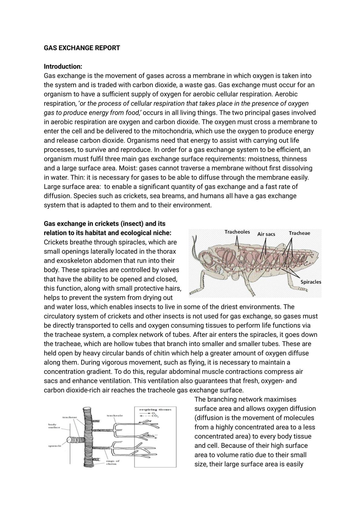 Gas Exchange Report - Page 1