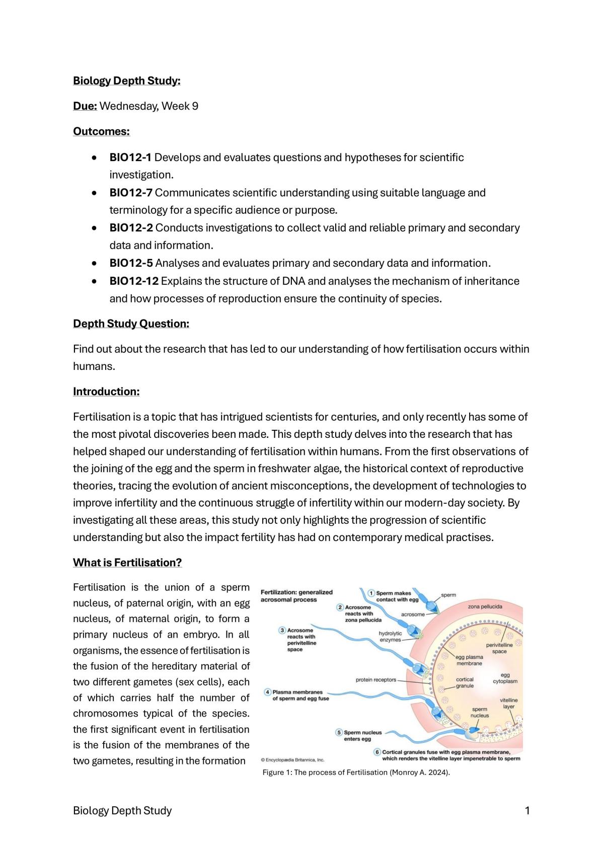 Biology Depth Study - Fertilisation  - Page 1