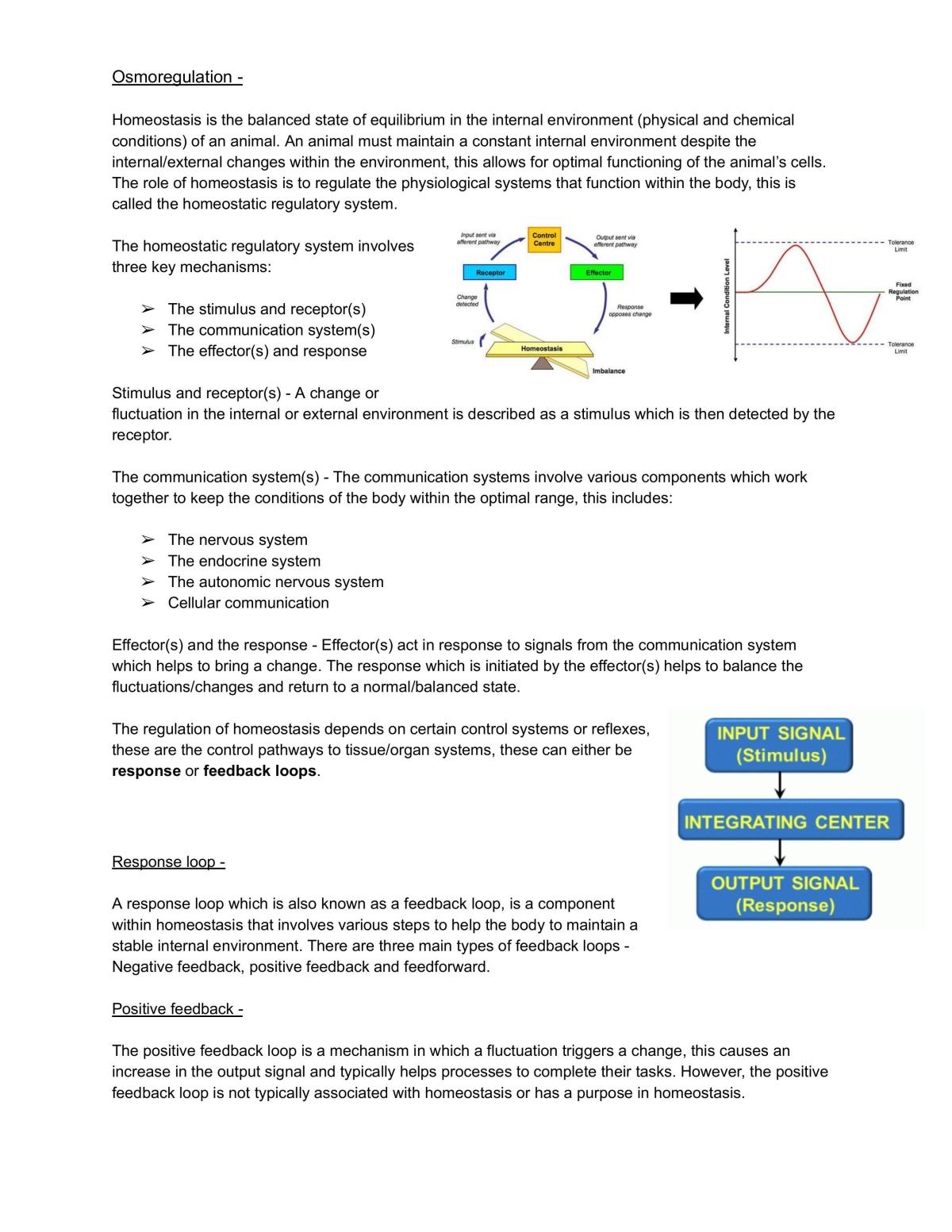Homeostasis Level 3 Internal - Achieved With Excellence  - Page 1