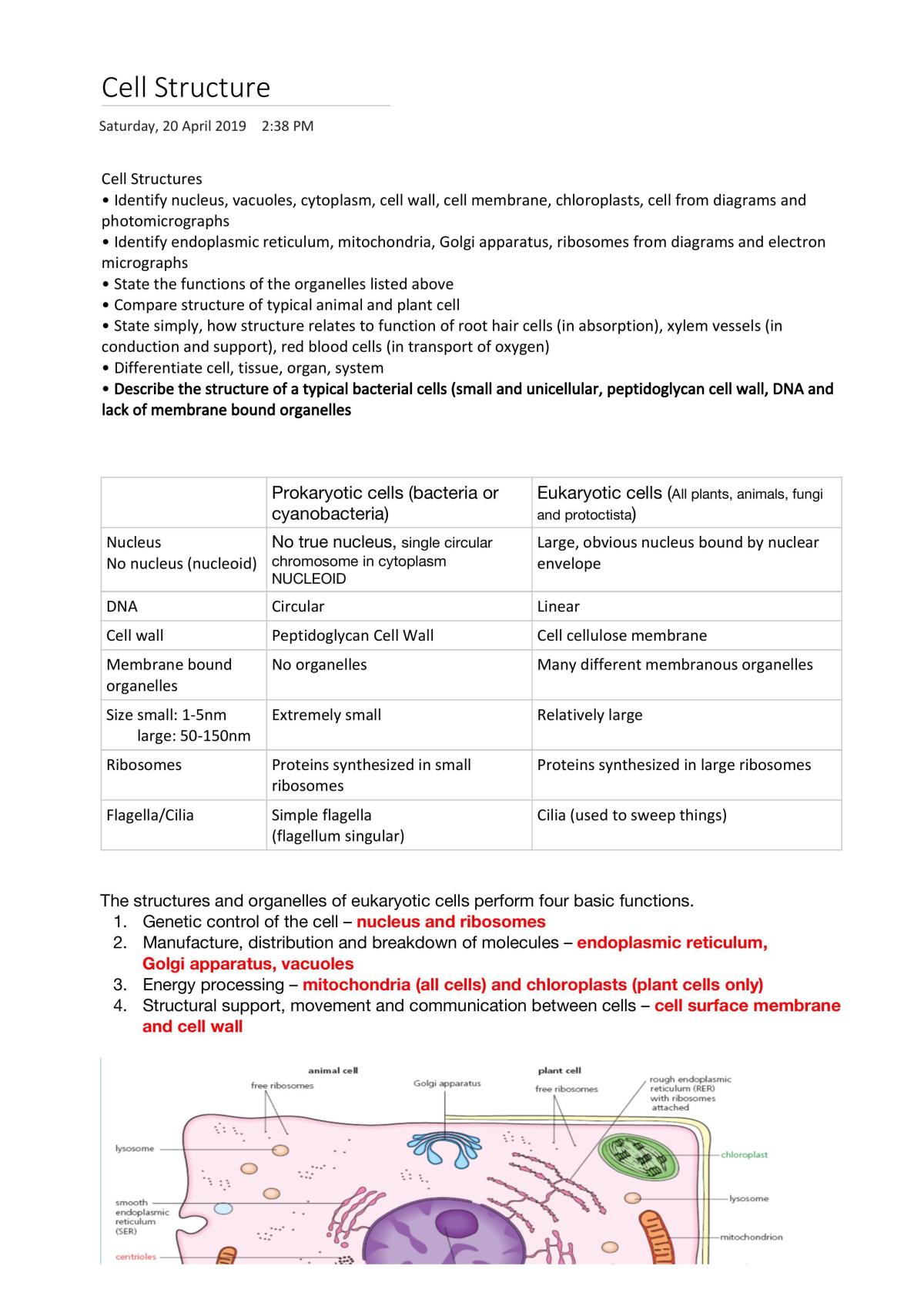 Y3 Biology Notes - Page 1