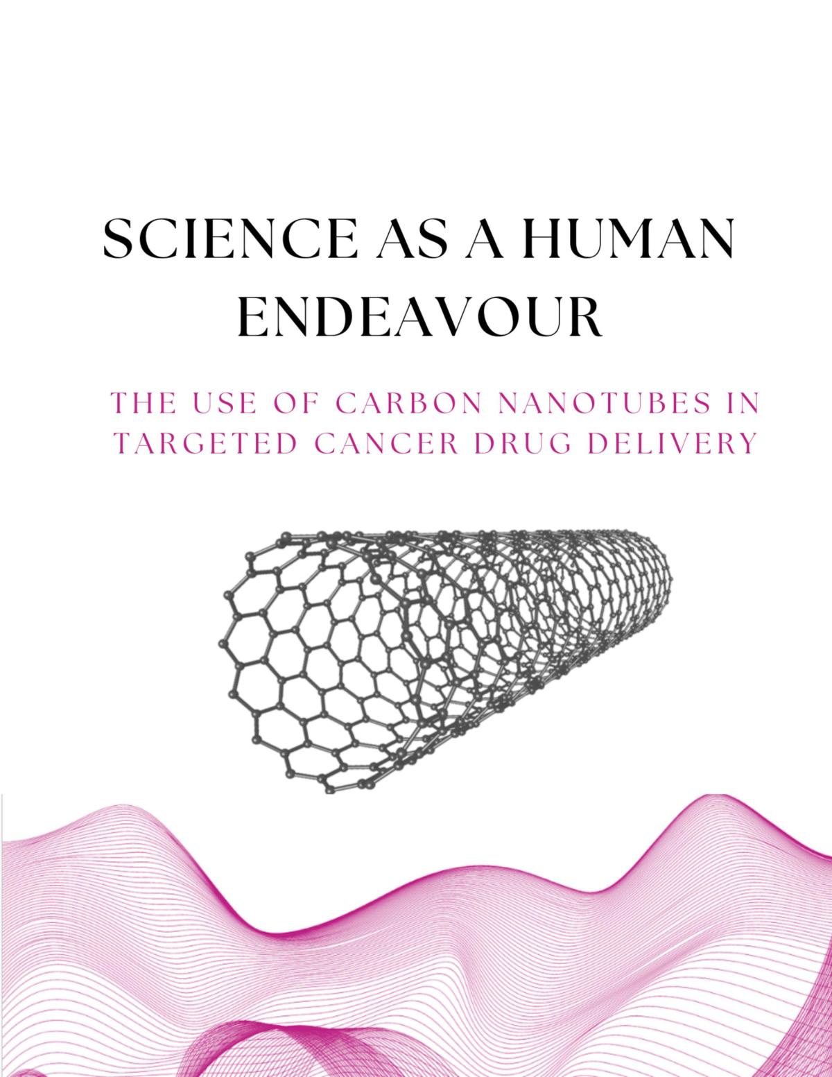 Carbon Nanotubes SHE Task - Page 1