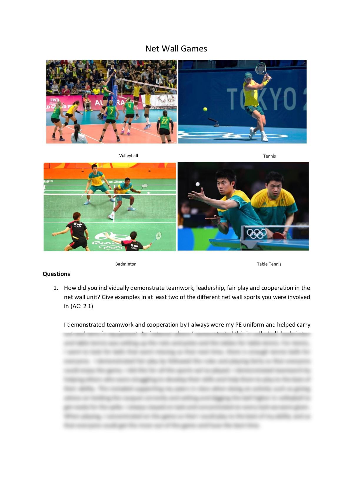 Net Wall Games - Page 1