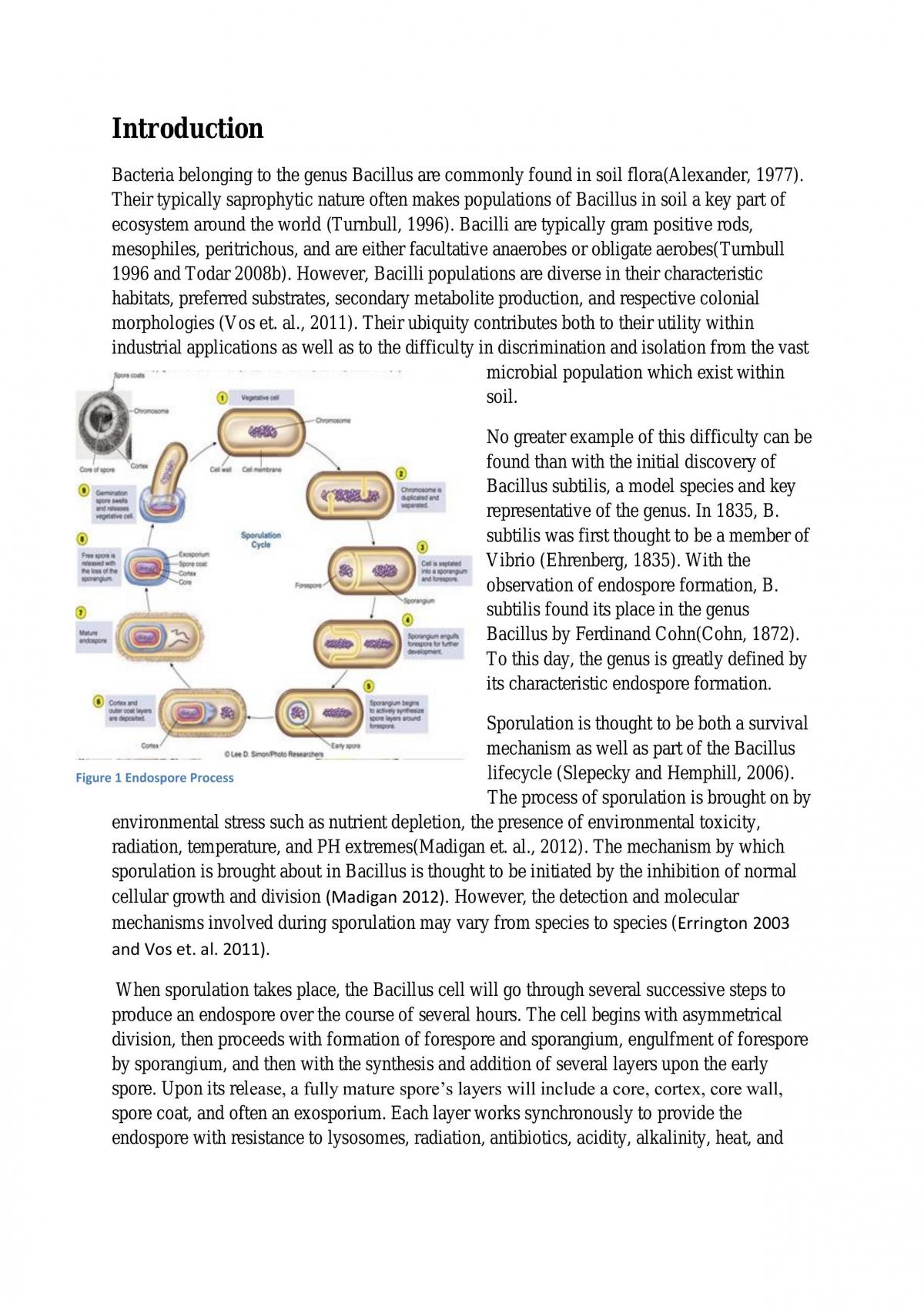 Final report for MICR2011 Bacillus  - Page 1