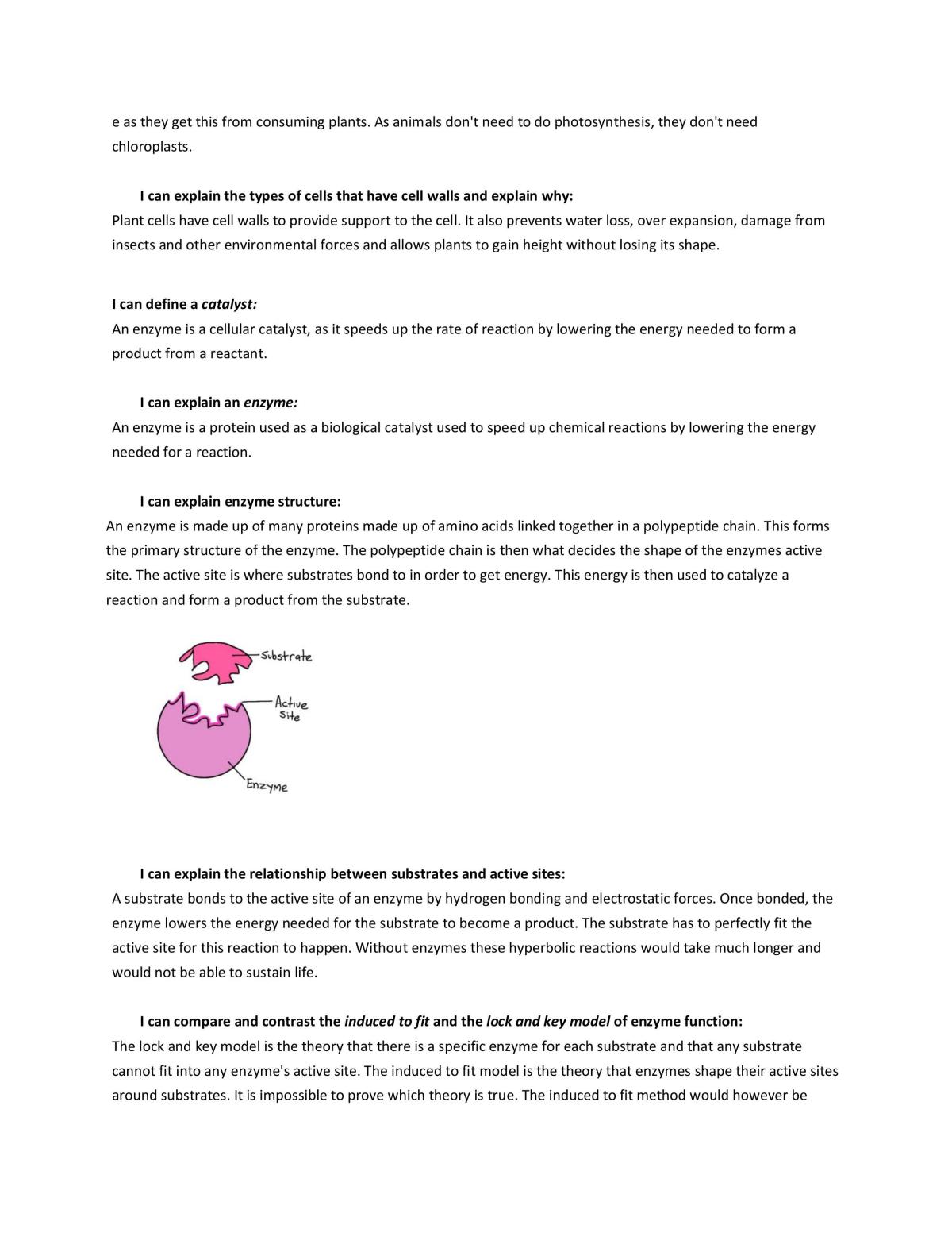 Biology Cells - Study Notes - Page 3