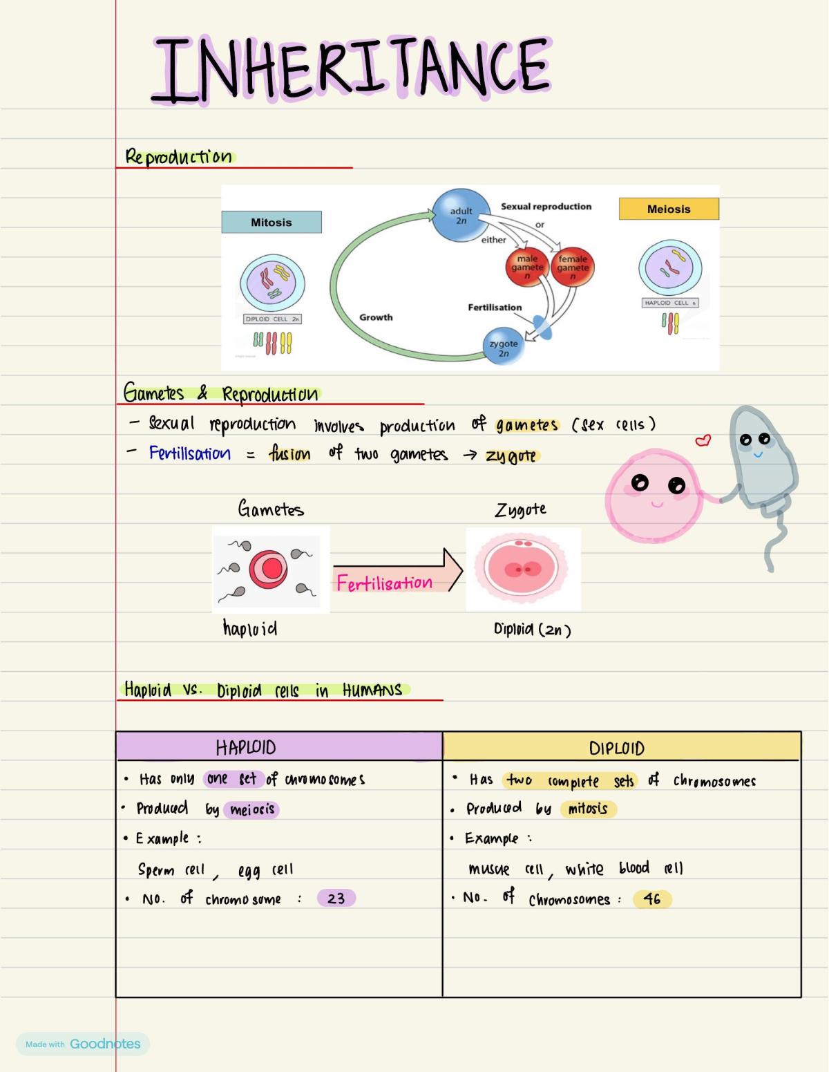 A-Level Biology Notes  - Page 1