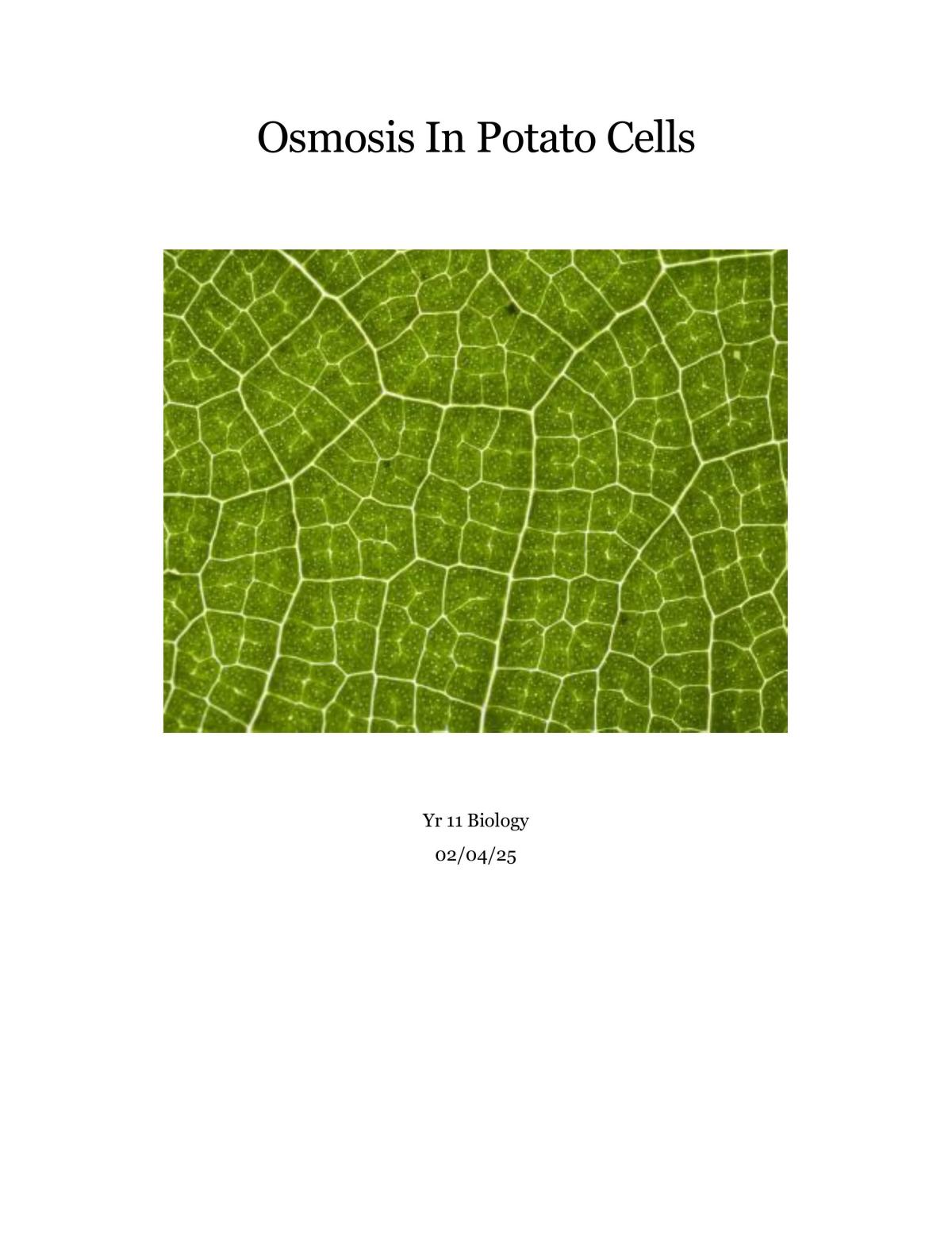 Osmosis In Potato Cells - Page 1
