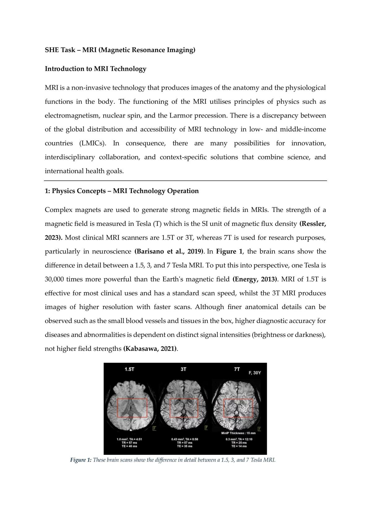 MRI SHE Task - Page 1
