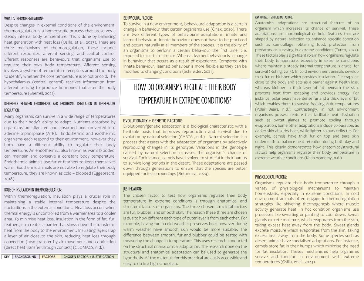 Stage 1 - Evolution Deconstruct and Design  - Page 1