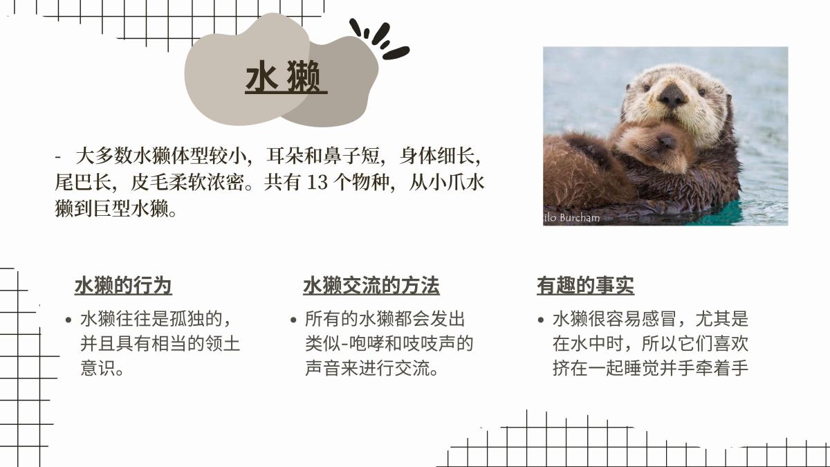 Chinese WA2 Project: Otters - Page 2