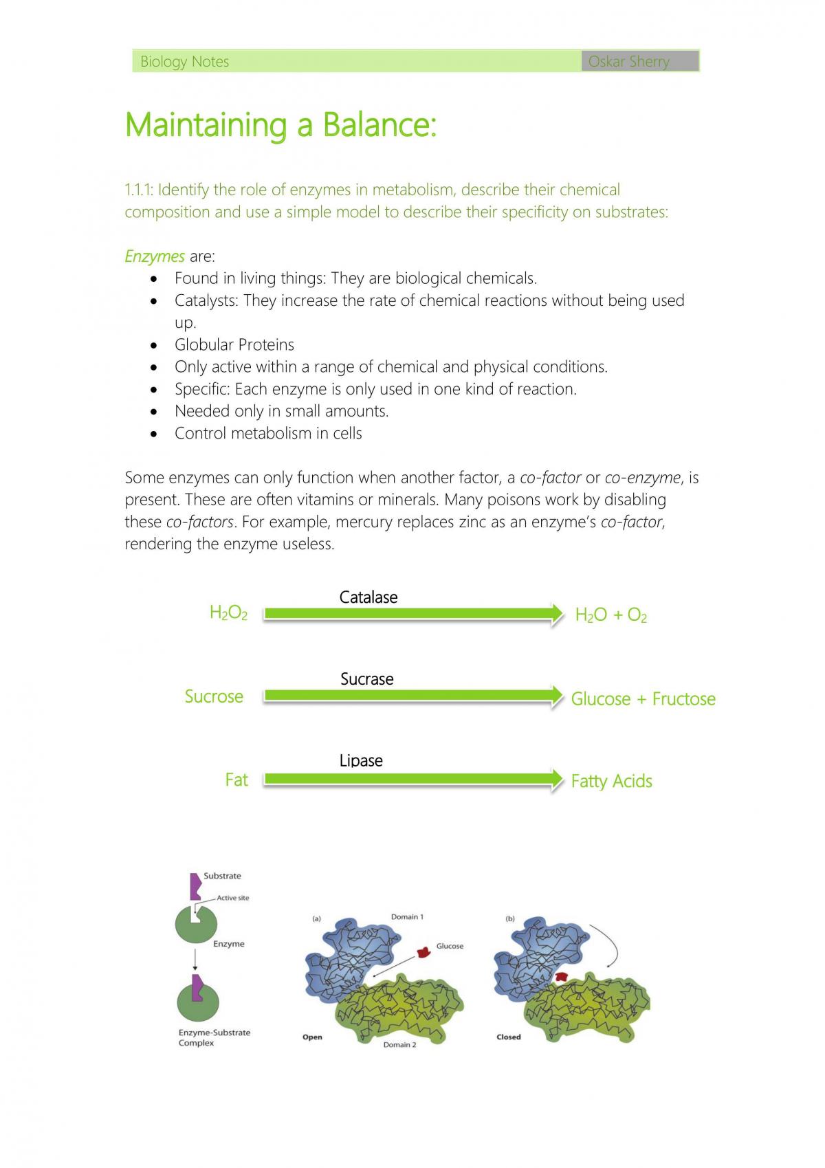 Maintaining a balance Notes - Page 1