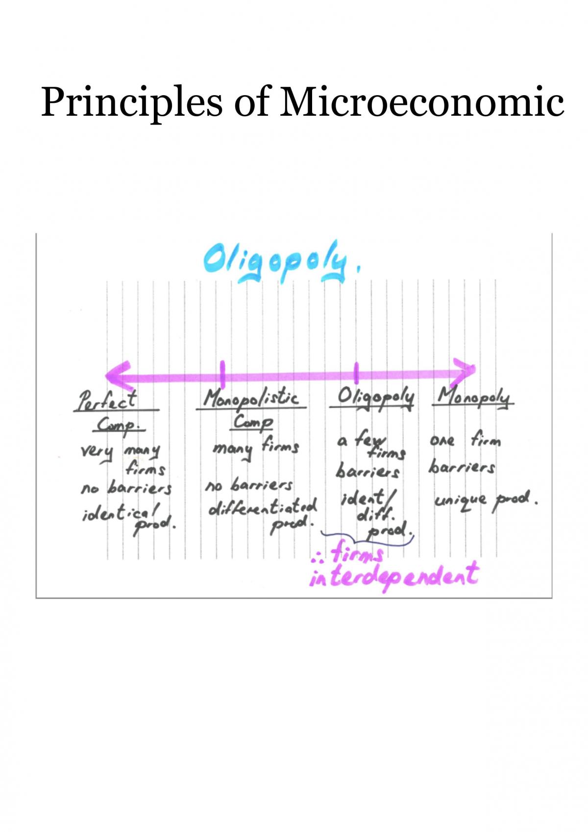 Microeconomics Fundamentals  - Page 1