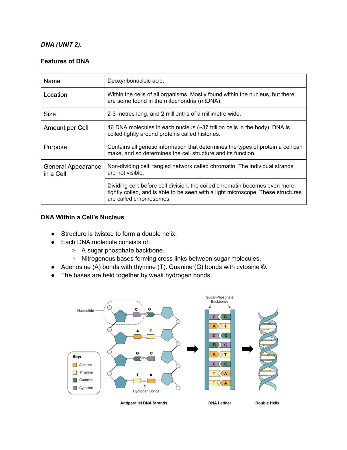 ATAR Human Bio Unit 2 Full Notes - Page 1