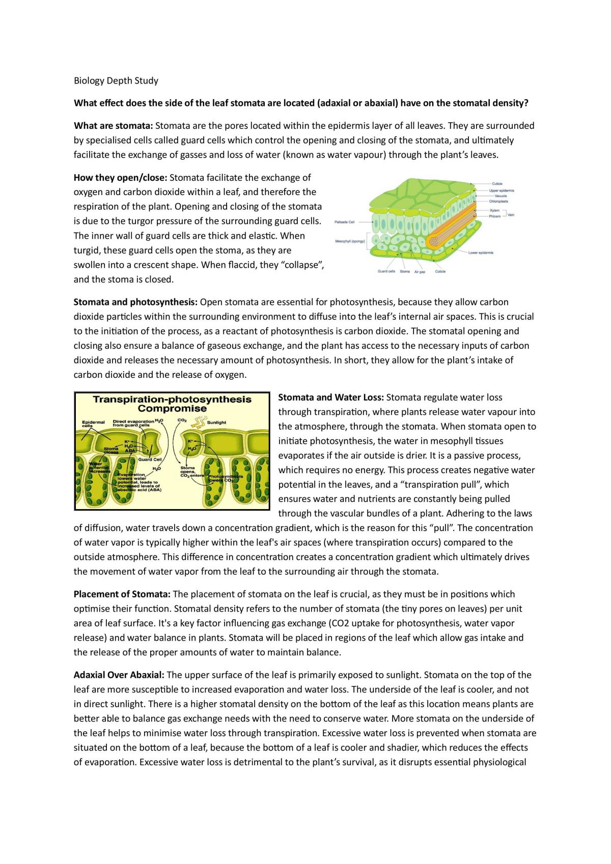 Biology Stomata Depth Study  - Page 1