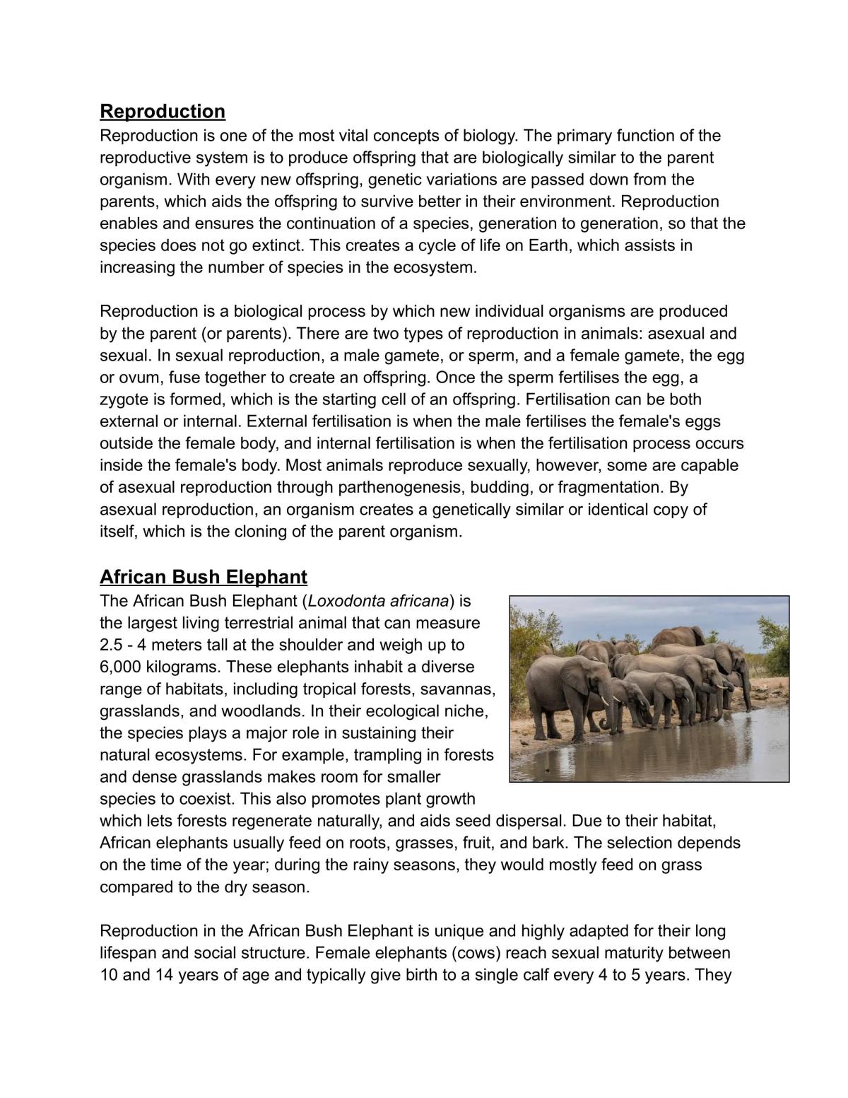 Adaptations Internal  - Page 1
