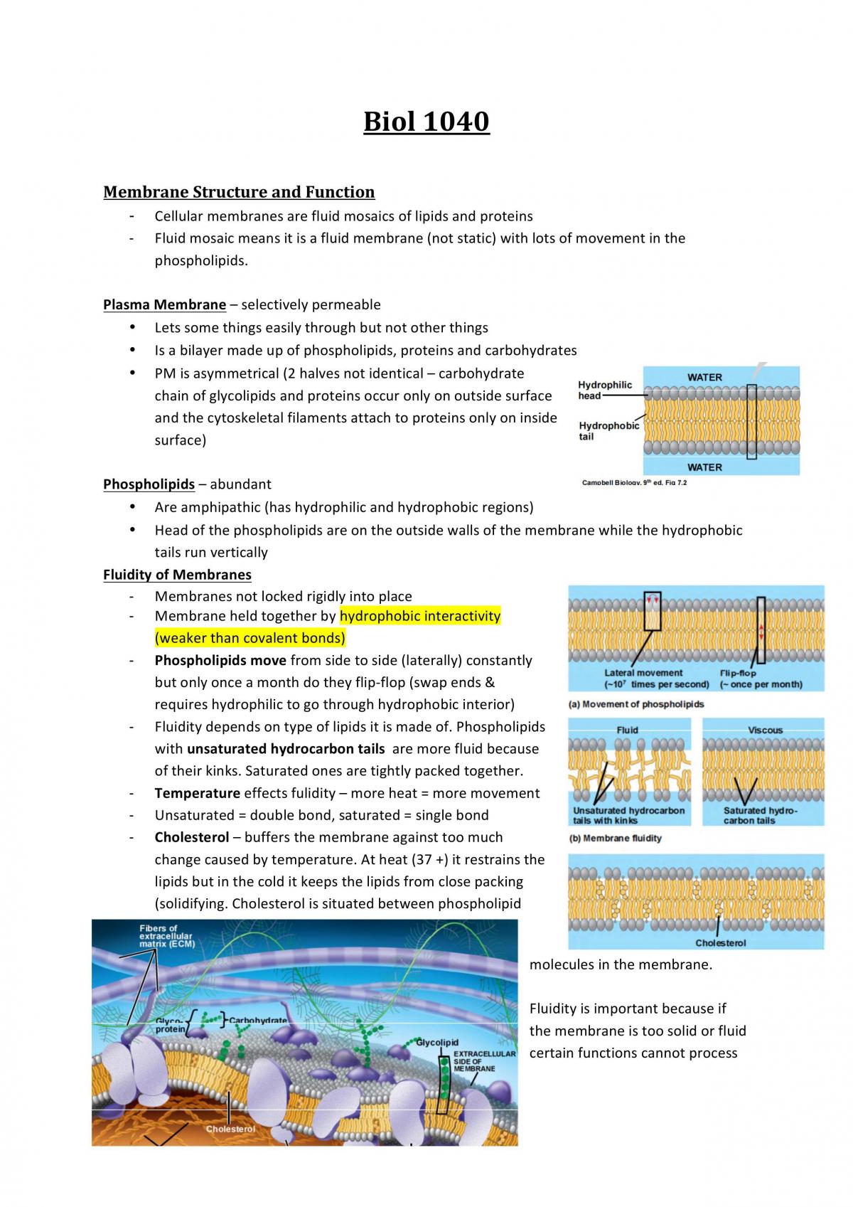 BIOL1040 Module 1 and 2  - Page 1