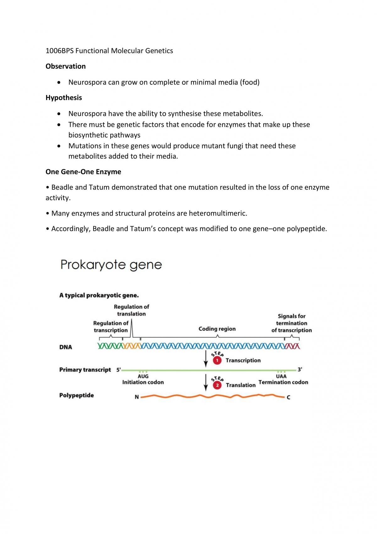 1006BPS FMG Written Final Notes - Page 1