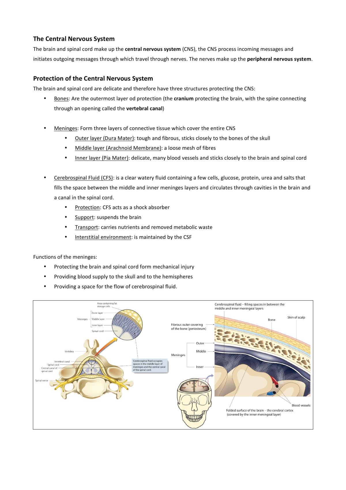 The Central Nervous System - Page 1
