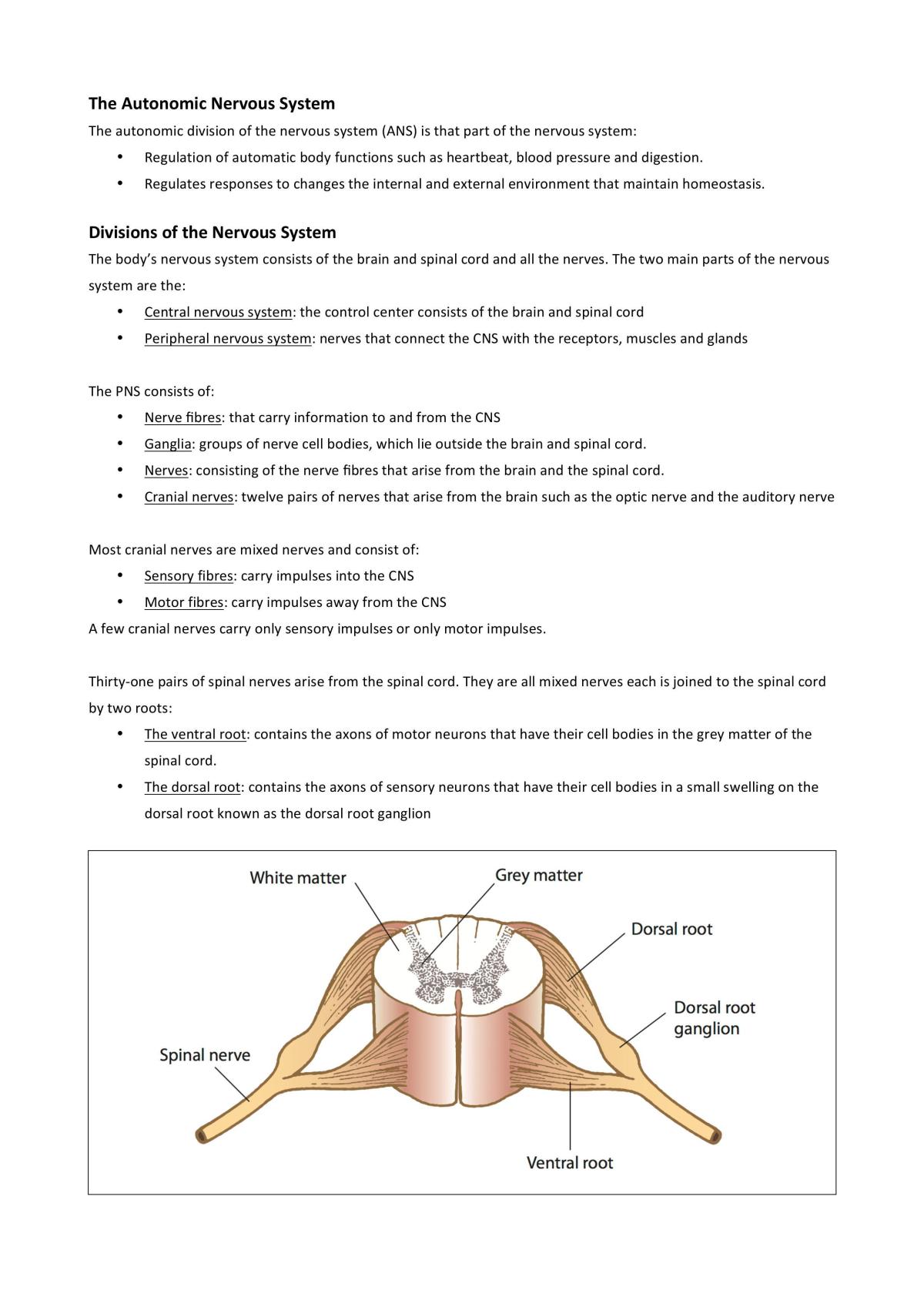 Autonomic Nervous System - Page 1
