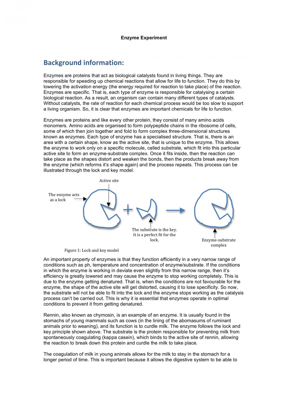 Enzyme Experiment Assignment  - Page 1