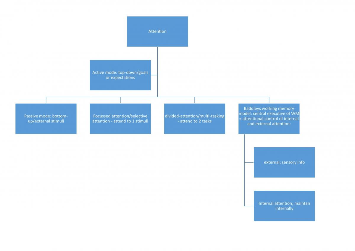 Attention in Cognitive Pyschology - Page 1