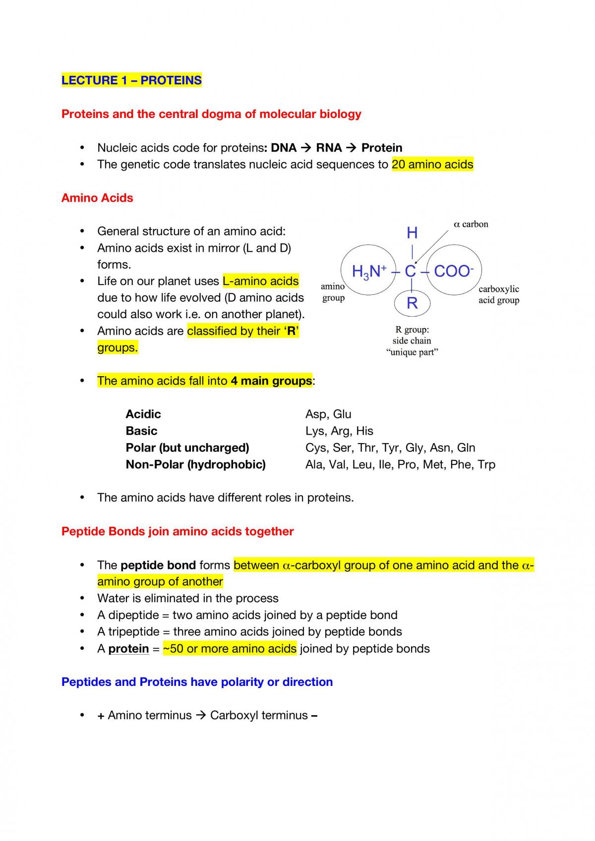 BIOC2101 Notes - Page 1