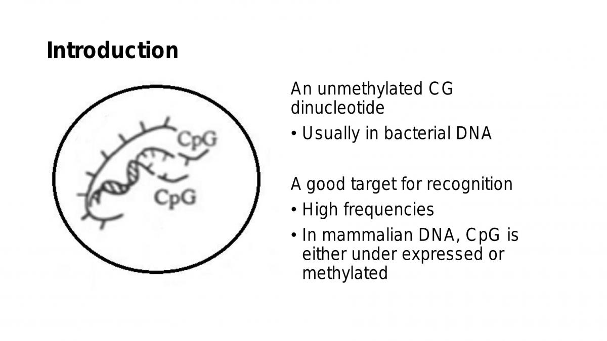 BIOL3003 Problem Based Learning Presentation - Page 1