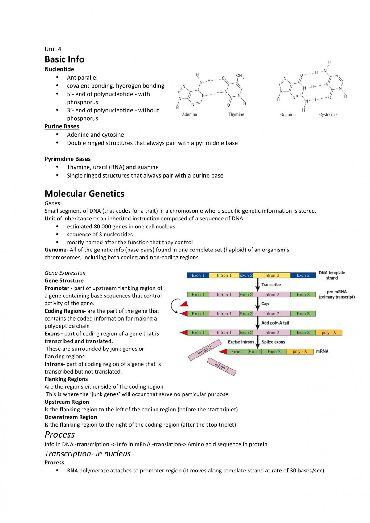 VCE Biology Unit 4 Notes - Page 1