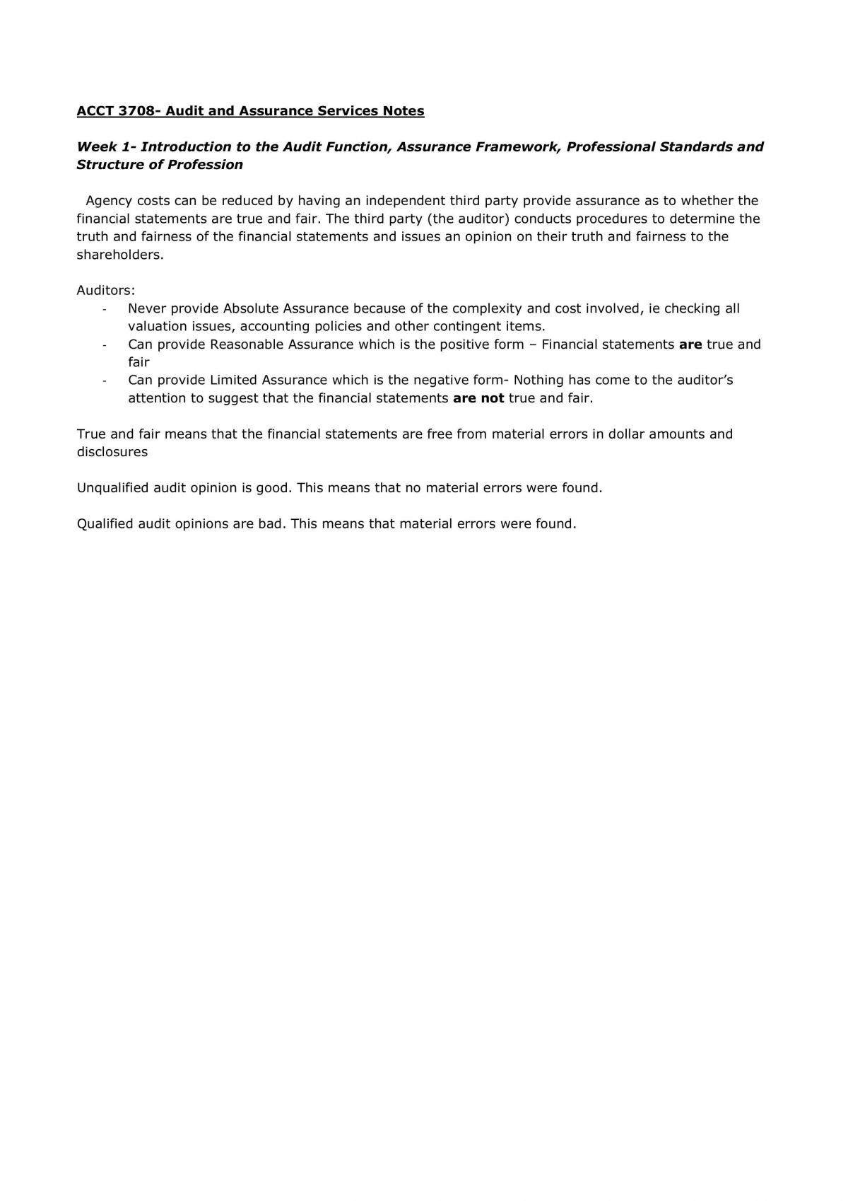 Audit Notes - Page 1