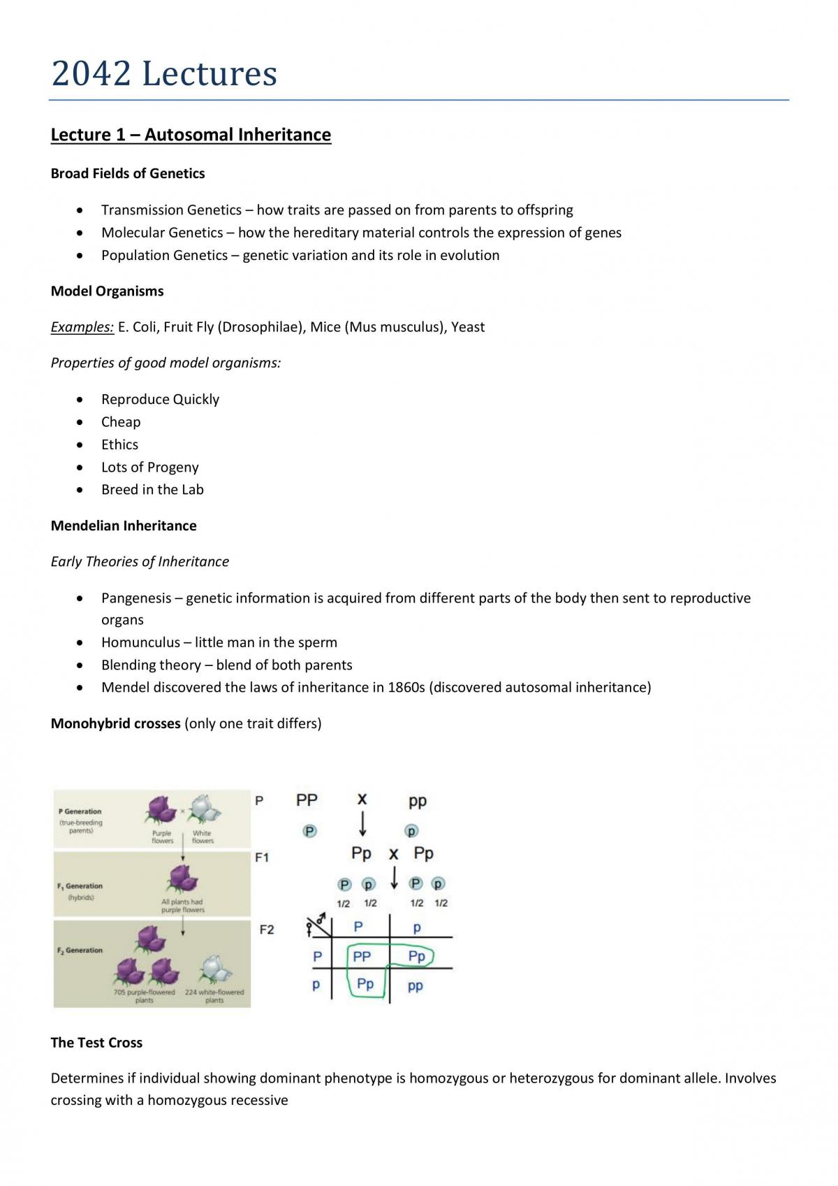 BMS2042 - Genetics Notes - Page 1