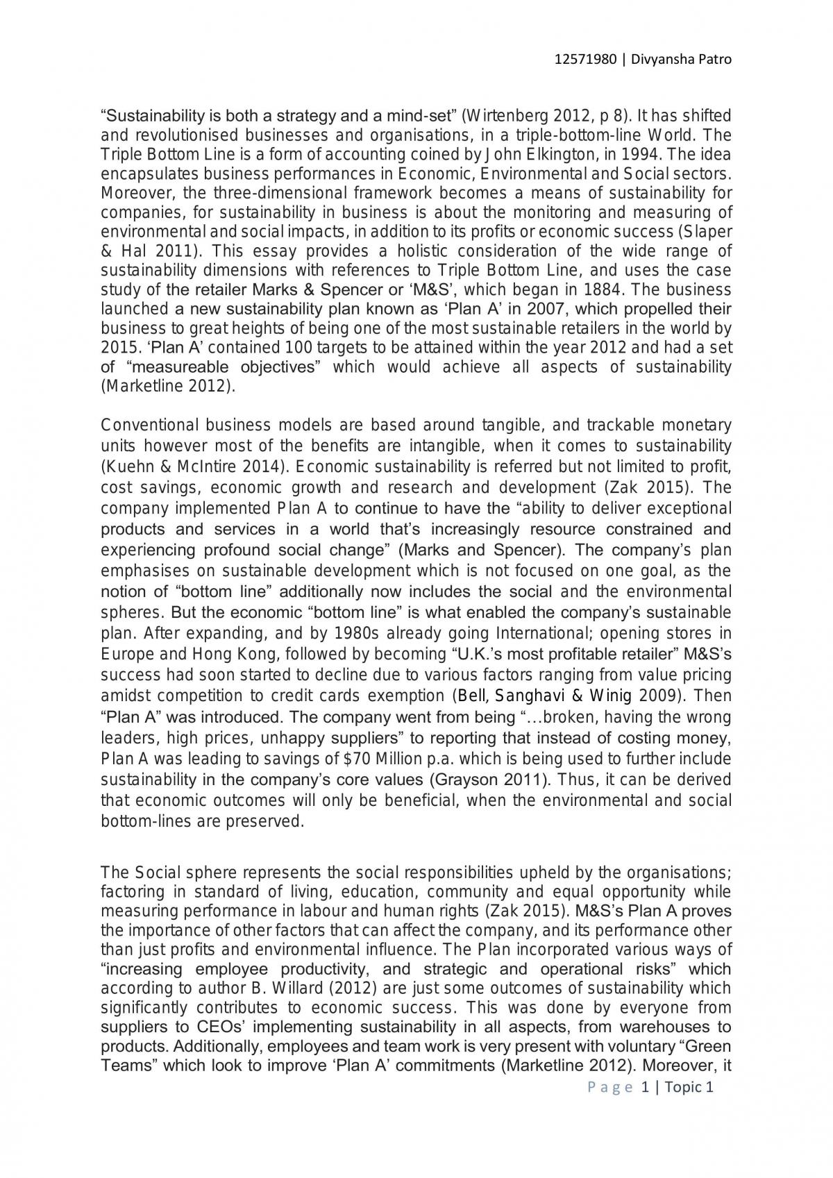 Sustainability in Business Essay - Page 1
