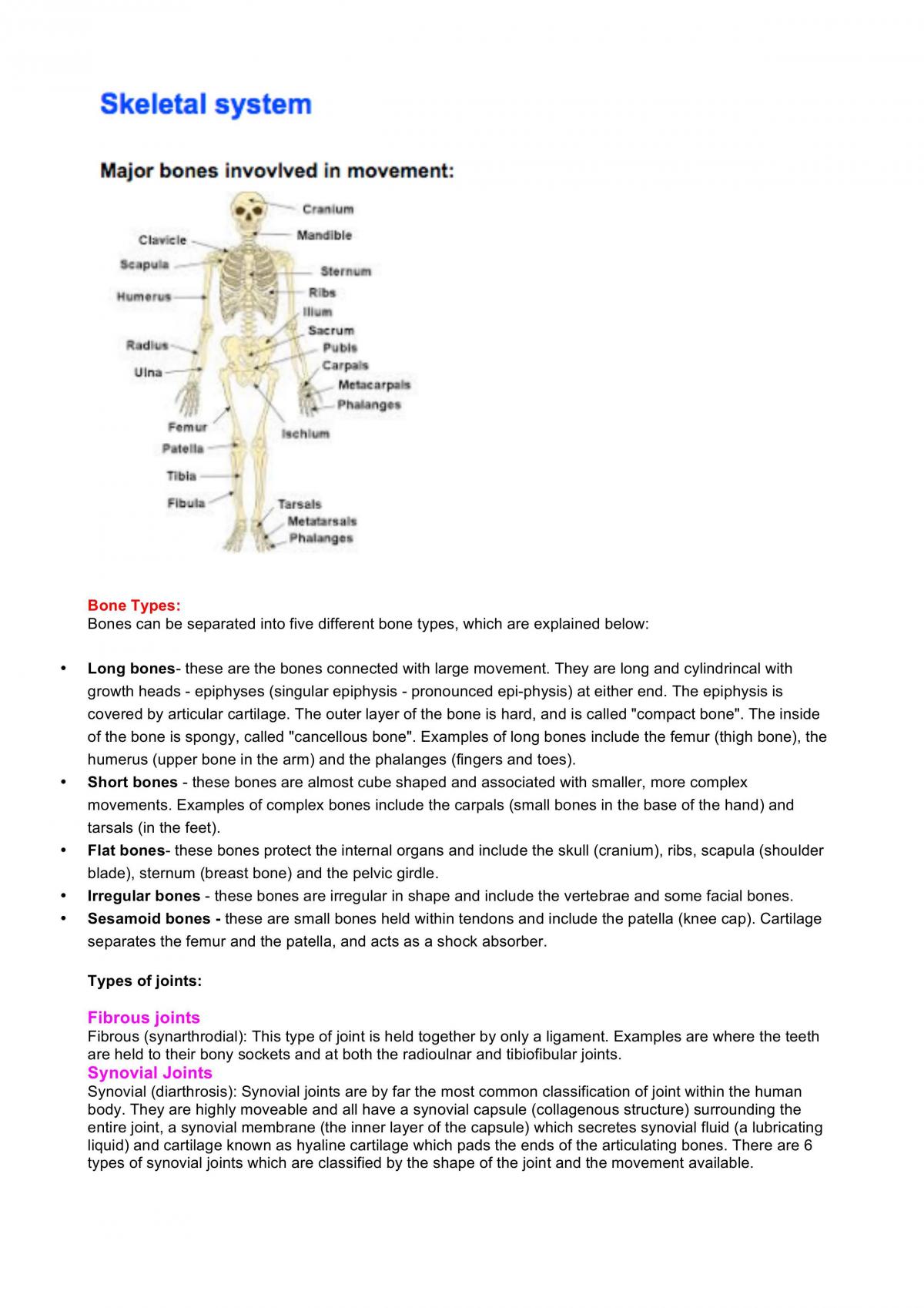 Study Notes Body in Motion - Page 1