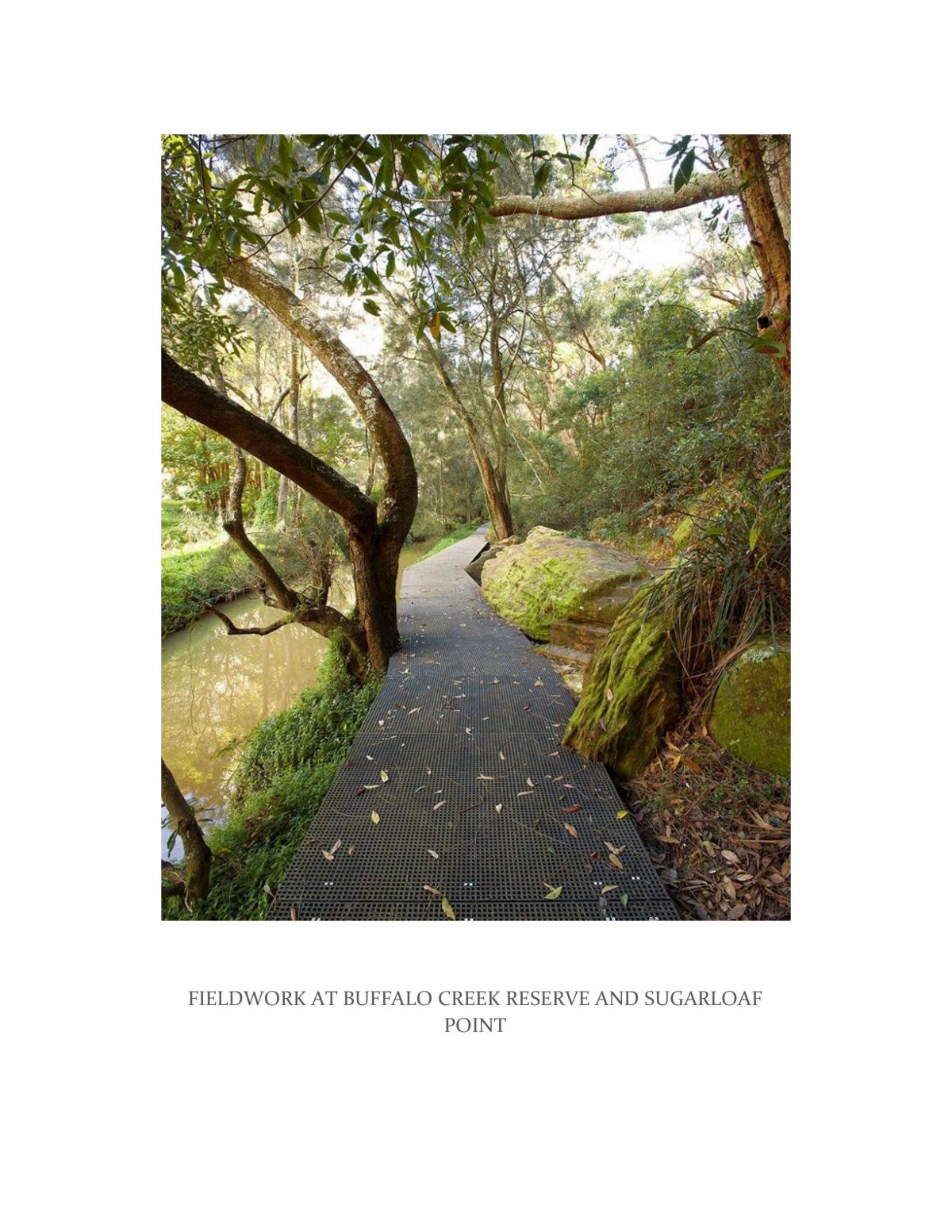 Bilogy Fieldwork Report - Page 1