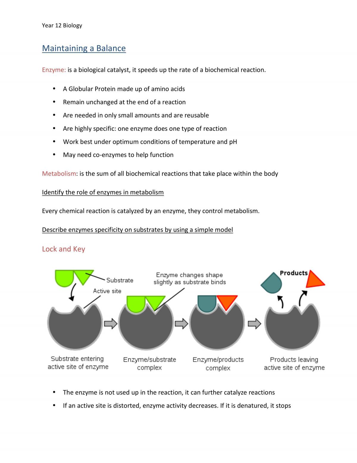 Maintaining a Balance Study Notes - Page 1