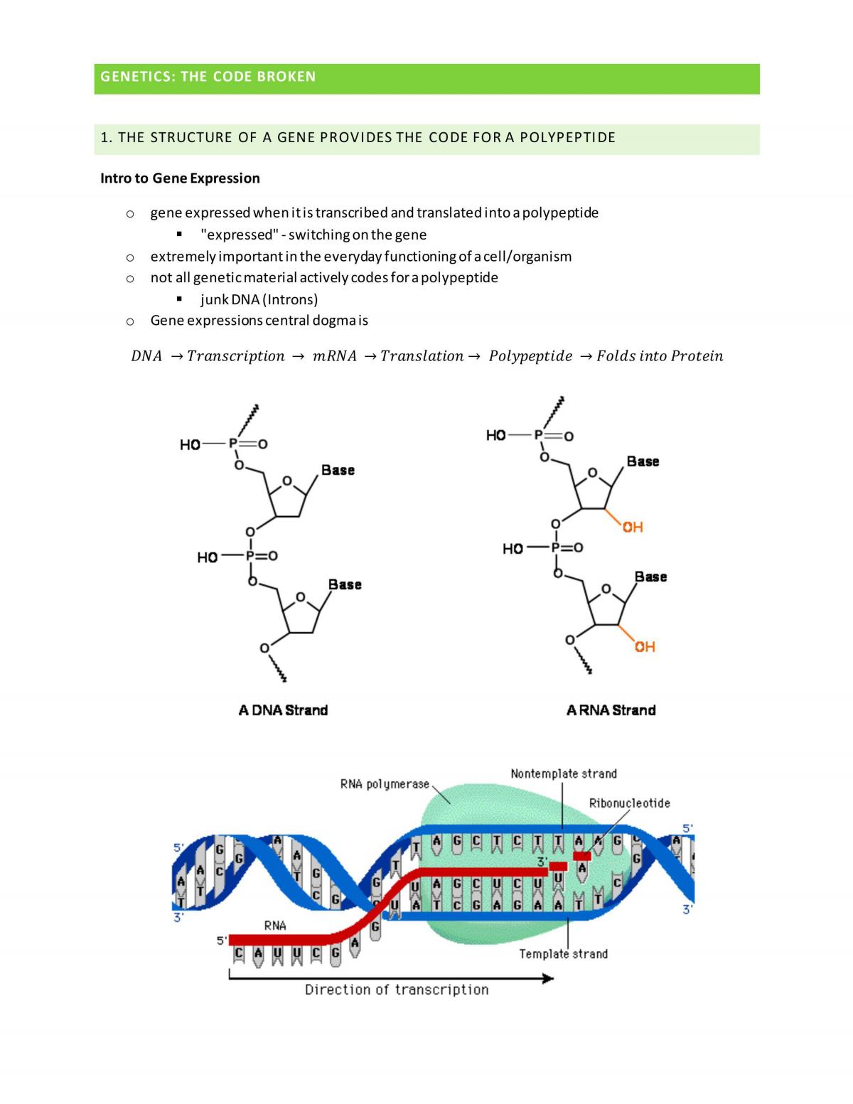Genetics The Code Broken Complete Notes - Page 1